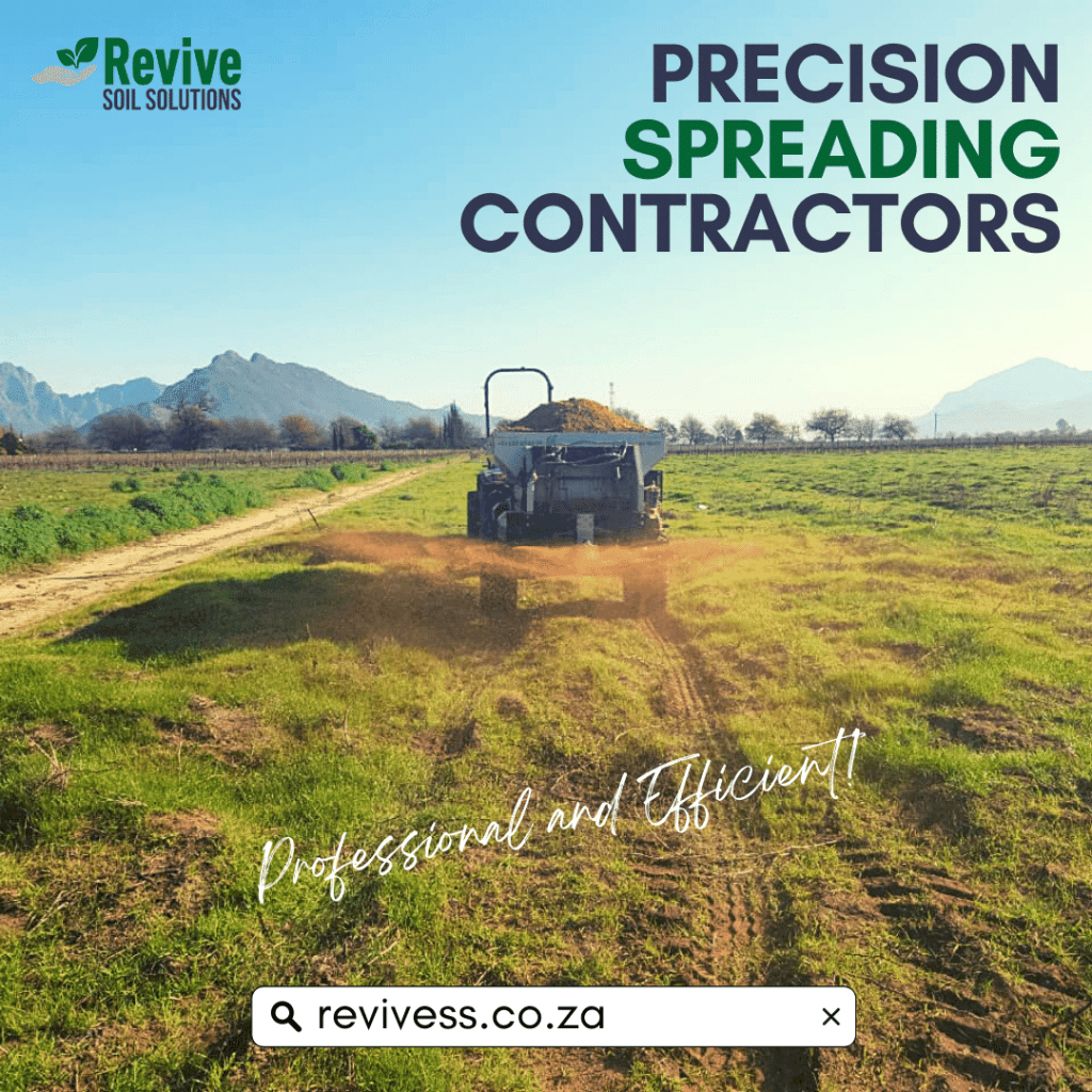 Revive Social Media - ImageBearers