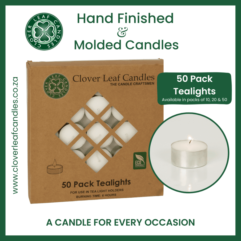 social media portfolio